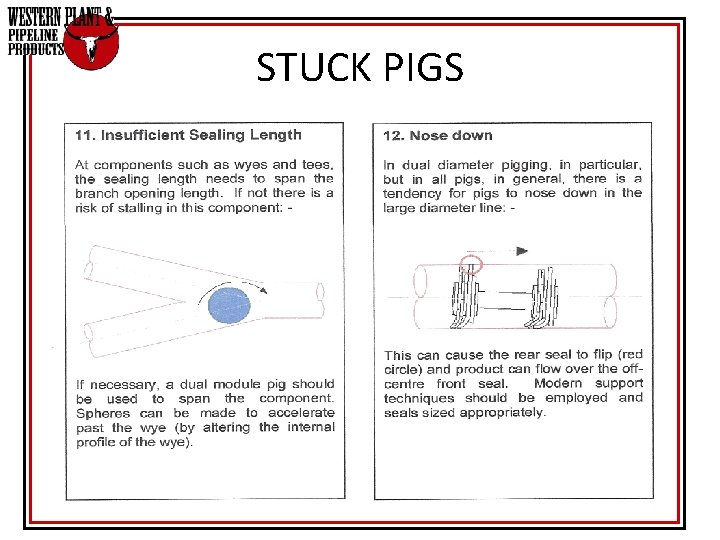 STUCK PIGS STUCK PIGS