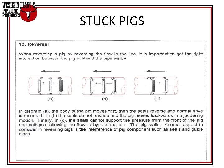 STUCK PIGS STUCK PIGS