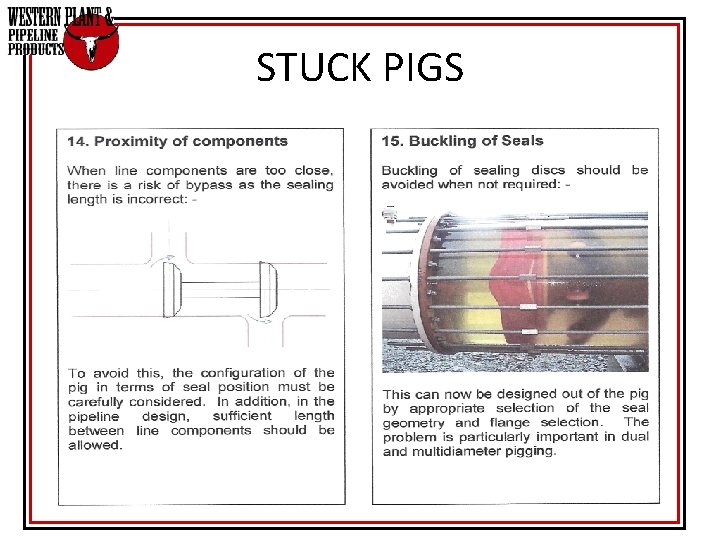 STUCK PIGS STUCK PIGS
