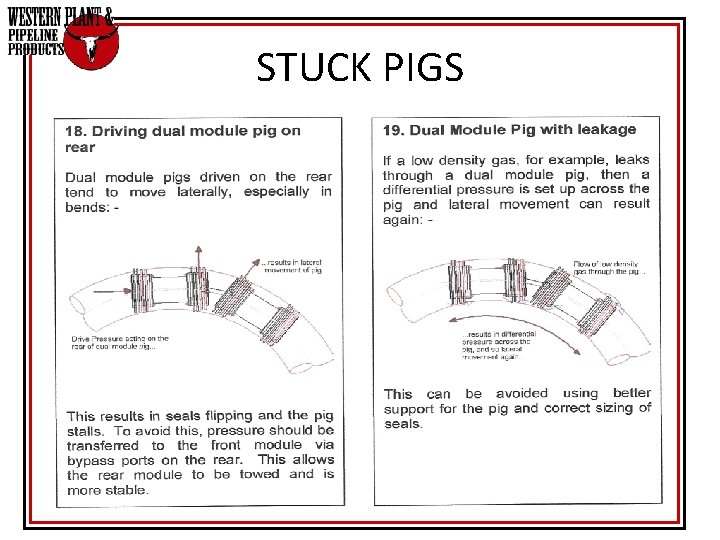 STUCK PIGS STUCK PIGS