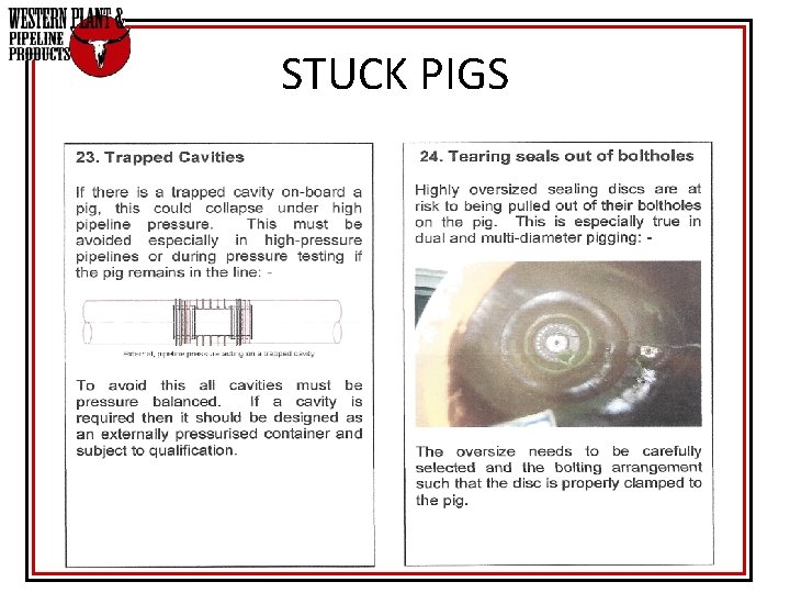 STUCK PIGS STUCK PIGS