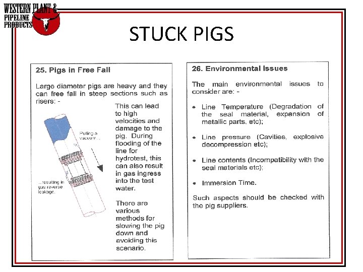 STUCK PIGS STUCK PIGS