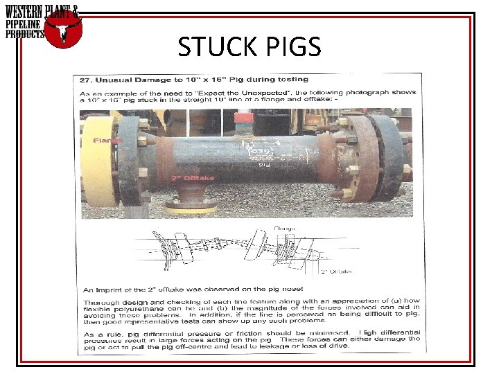STUCK PIGS STUCK PIGS