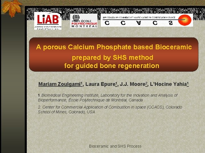  A porous Calcium Phosphate based Bioceramic prepared by SHS method for guided bone