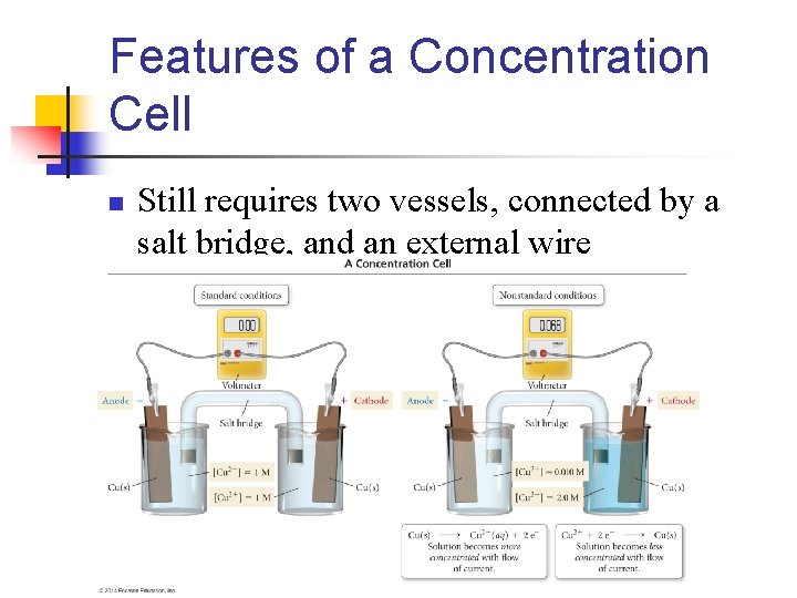 Features of a Concentration Cell n Still requires two vessels, connected by a salt