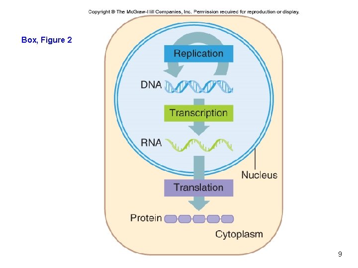 Box, Figure 2 Reading 1. 1, Figure 2 9 