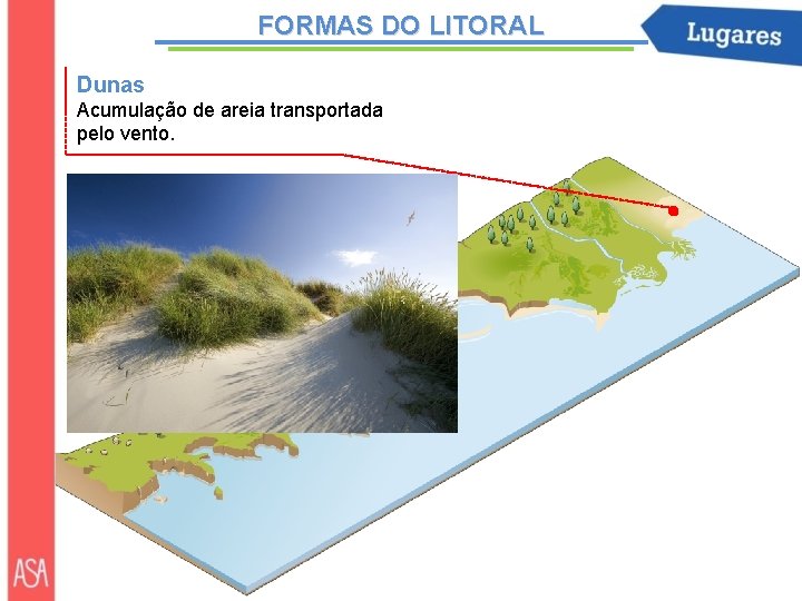 FORMAS DO LITORAL Dunas Acumulação de areia transportada pelo vento. 