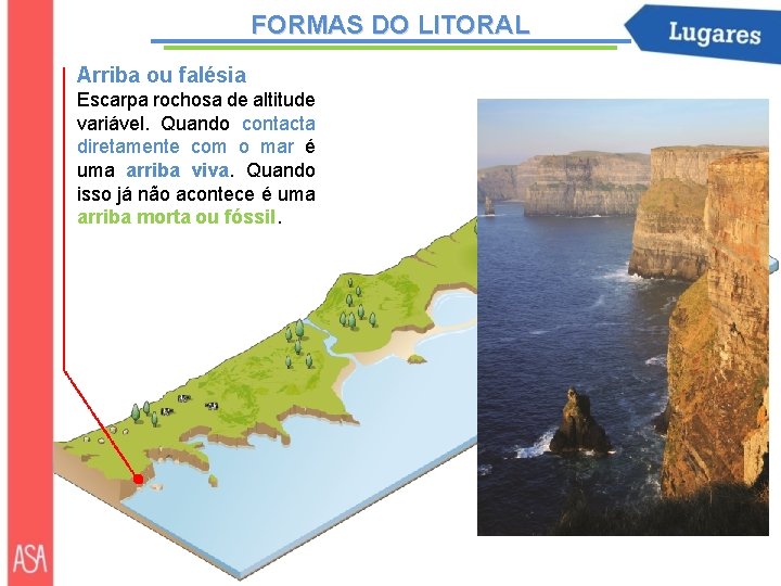 FORMAS DO LITORAL Arriba ou falésia Escarpa rochosa de altitude variável. Quando contacta diretamente