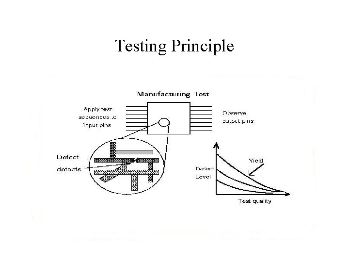 Testing Principle 