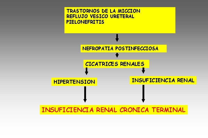 TRASTORNOS DE LA MICCION REFLUJO VESICO URETERAL PIELONEFRITIS NEFROPATIA POSTINFECCIOSA CICATRICES RENALES HIPERTENSION INSUFICIENCIA