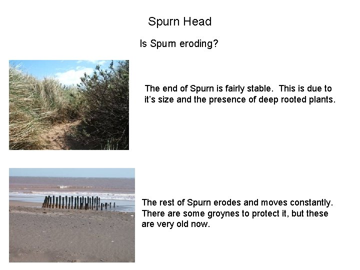 Spurn Head Is Spurn eroding? The end of Spurn is fairly stable. This is