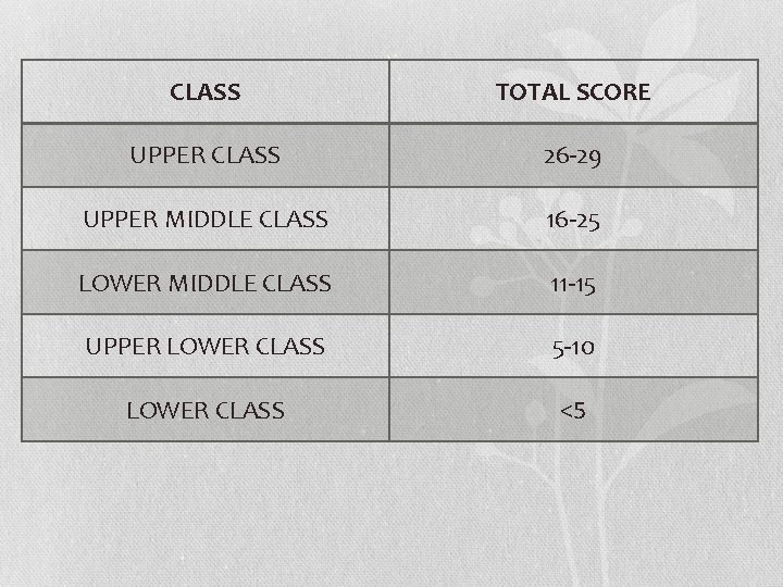 CLASS TOTAL SCORE UPPER CLASS 26 -29 UPPER MIDDLE CLASS 16 -25 LOWER MIDDLE