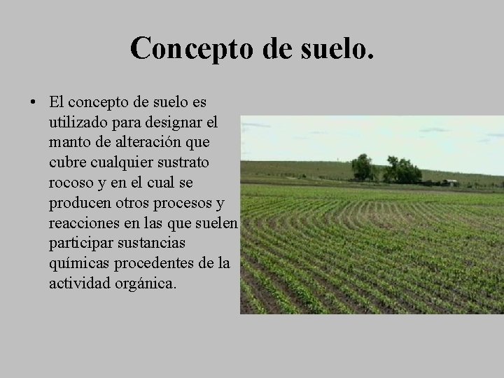Concepto de suelo. • El concepto de suelo es utilizado para designar el manto