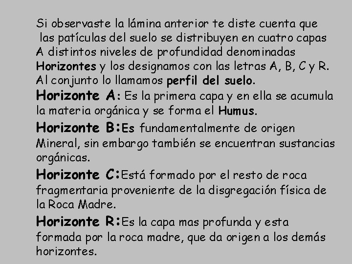 Si observaste la lámina anterior te diste cuenta que las patículas del suelo se