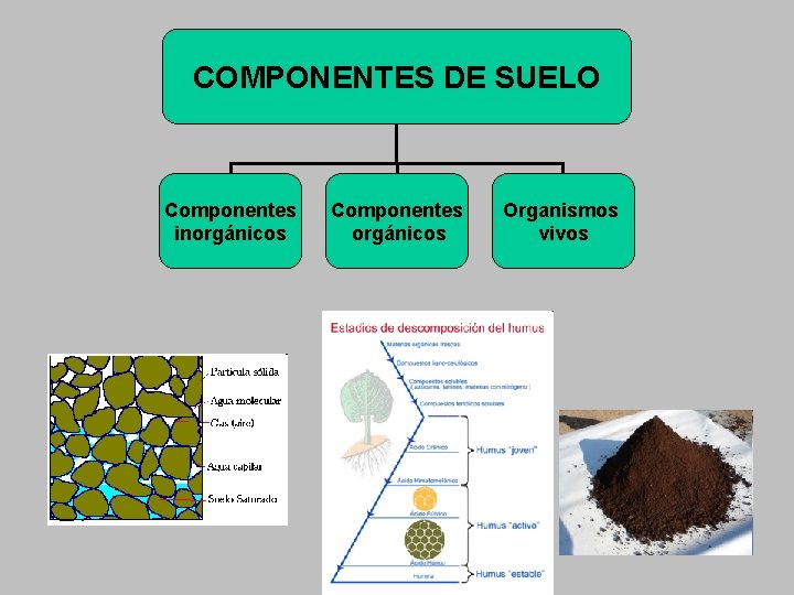 COMPONENTES DE SUELO Componentes inorgánicos Componentes orgánicos Organismos vivos 