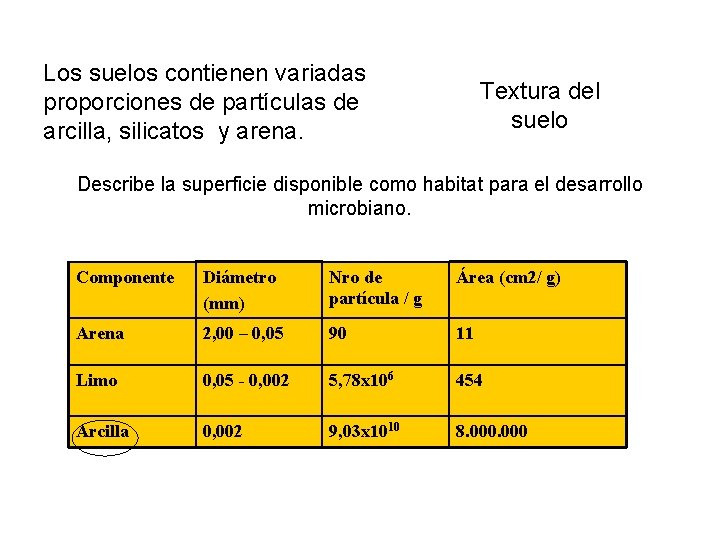 Los suelos contienen variadas proporciones de partículas de arcilla, silicatos y arena. Textura del