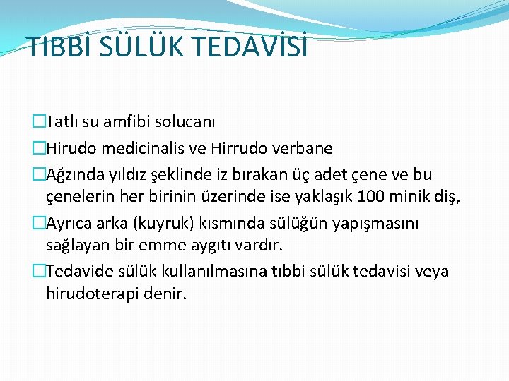 TIBBİ SÜLÜK TEDAVİSİ �Tatlı su amfibi solucanı �Hirudo medicinalis ve Hirrudo verbane �Ağzında yıldız