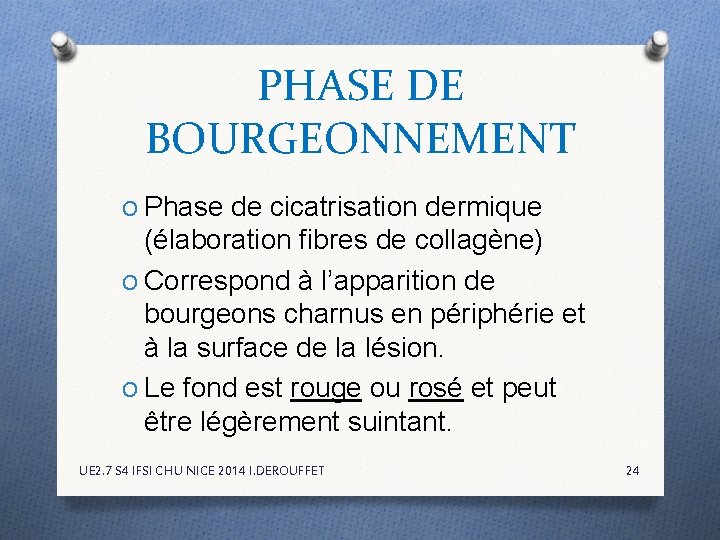 PHASE DE BOURGEONNEMENT O Phase de cicatrisation dermique (élaboration fibres de collagène) O Correspond PHASE DE BOURGEONNEMENT O Phase de cicatrisation dermique (élaboration fibres de collagène) O Correspond