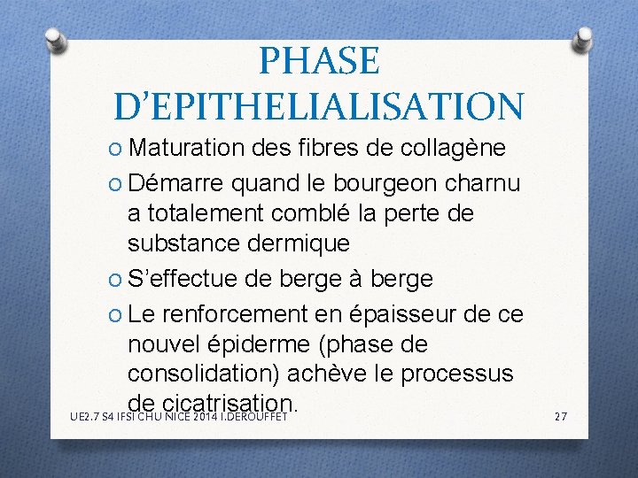 PHASE D’EPITHELIALISATION O Maturation des fibres de collagène O Démarre quand le bourgeon charnu PHASE D’EPITHELIALISATION O Maturation des fibres de collagène O Démarre quand le bourgeon charnu