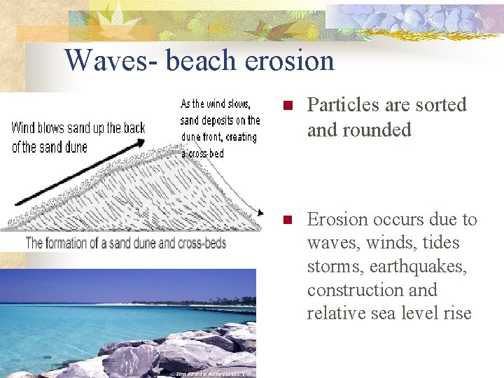 Waves- beach erosion n Particles are sorted and rounded n Erosion occurs due to