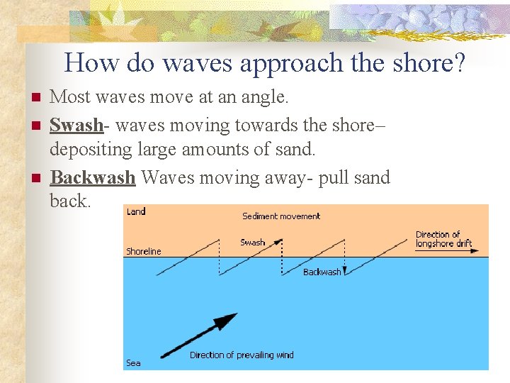 How do waves approach the shore? n n n Most waves move at an