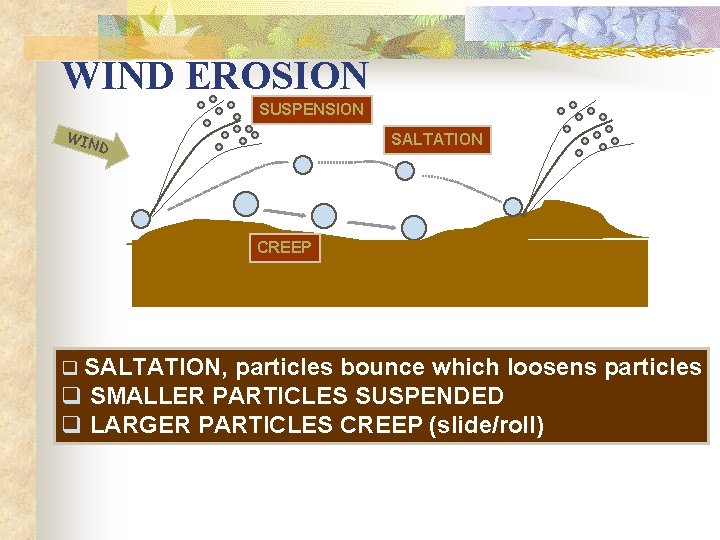 WIND EROSION SUSPENSION WIN SALTATION D CREEP q SALTATION, particles bounce which loosens particles