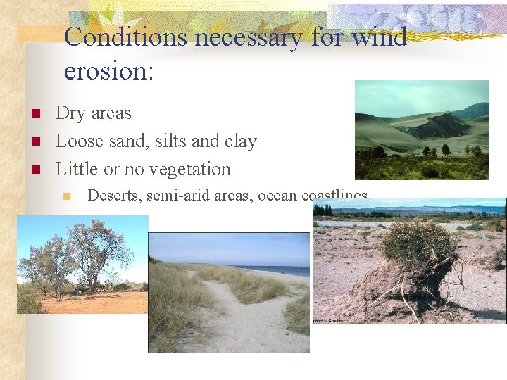 Conditions necessary for wind erosion: n n n Dry areas Loose sand, silts and