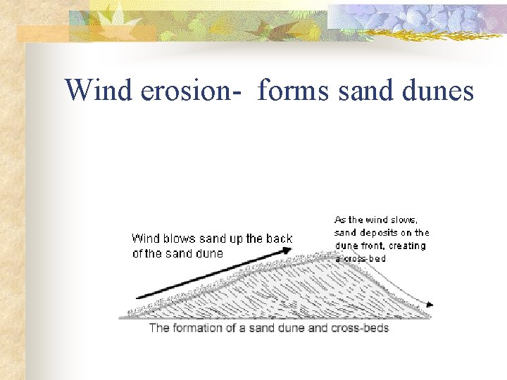 Wind erosion- forms sand dunes 