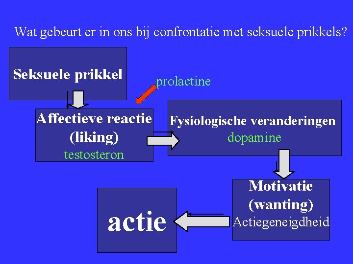 Wat gebeurt er in ons bij confrontatie met seksuele prikkels? Seksuele prikkel prolactine Affectieve