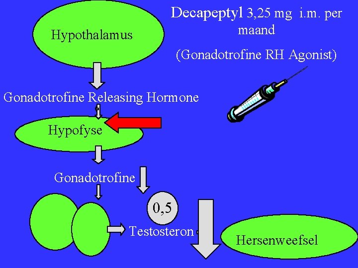 Decapeptyl 3, 25 mg i. m. per maand Hypothalamus (Gonadotrofine RH Agonist) Gonadotrofine Releasing