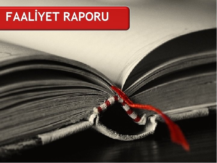 FAALİYET RAPORU 