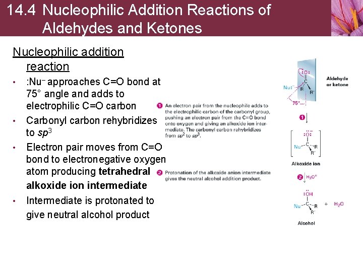 14. 4 Nucleophilic Addition Reactions of Aldehydes and Ketones Nucleophilic addition reaction • •