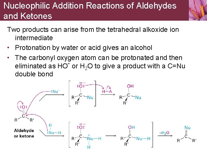 Nucleophilic Addition Reactions of Aldehydes and Ketones Two products can arise from the tetrahedral