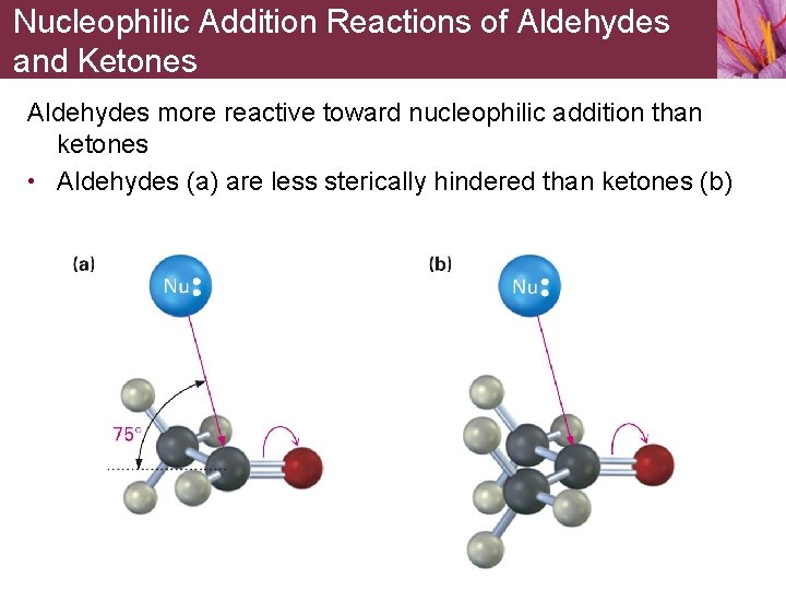 Nucleophilic Addition Reactions of Aldehydes and Ketones Aldehydes more reactive toward nucleophilic addition than