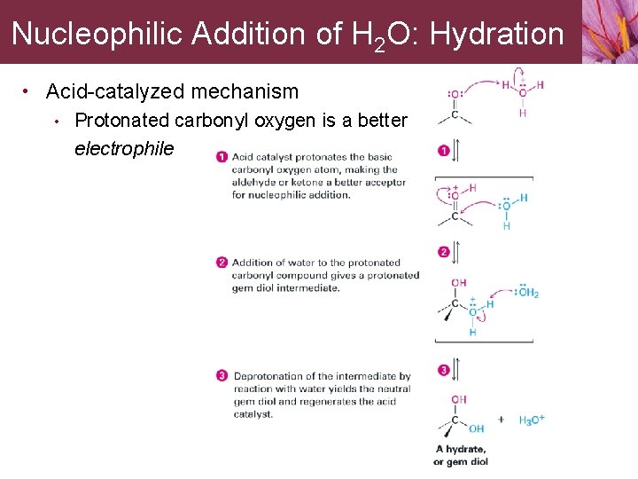 Nucleophilic Addition of H 2 O: Hydration • Acid-catalyzed mechanism • Protonated carbonyl oxygen