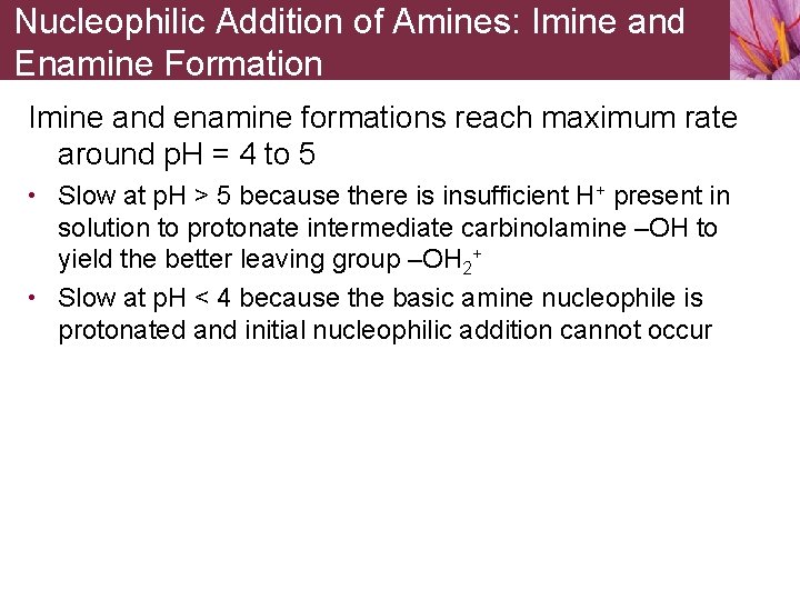 Nucleophilic Addition of Amines: Imine and Enamine Formation Imine and enamine formations reach maximum