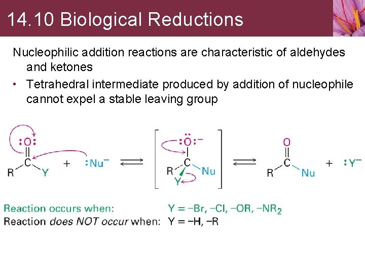 14. 10 Biological Reductions Nucleophilic addition reactions are characteristic of aldehydes and ketones •