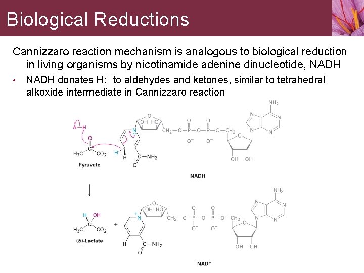 Biological Reductions Cannizzaro reaction mechanism is analogous to biological reduction in living organisms by