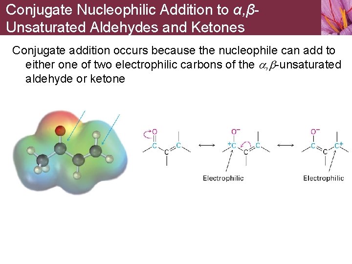 Conjugate Nucleophilic Addition to α, βUnsaturated Aldehydes and Ketones Conjugate addition occurs because the