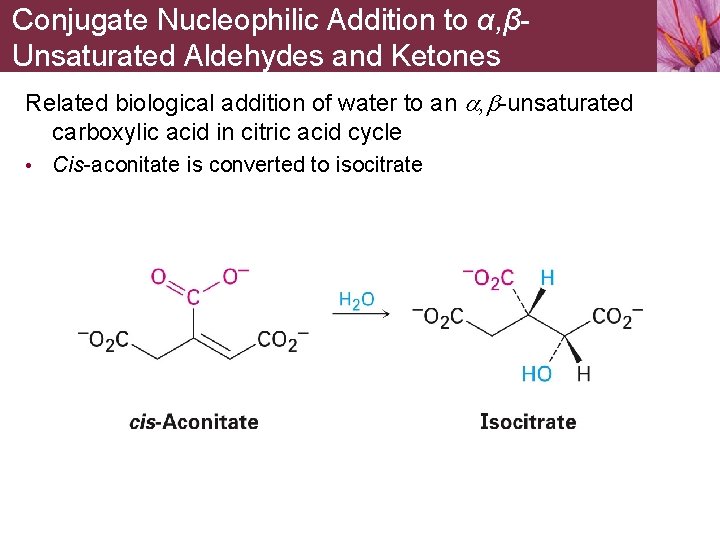 Conjugate Nucleophilic Addition to α, βUnsaturated Aldehydes and Ketones Related biological addition of water