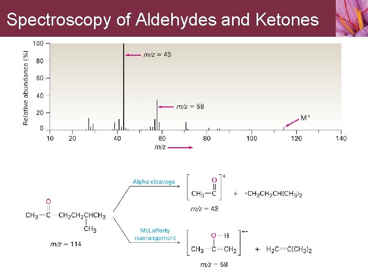 Spectroscopy of Aldehydes and Ketones 