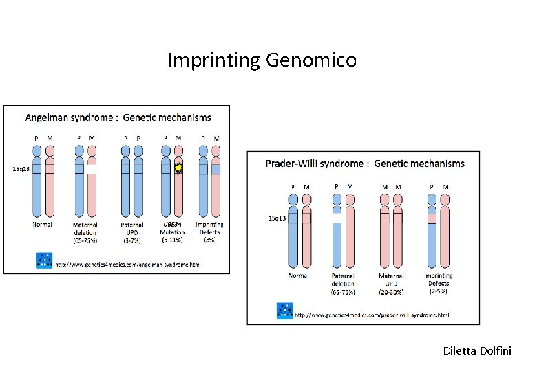 Imprinting Genomico Diletta Dolfini 