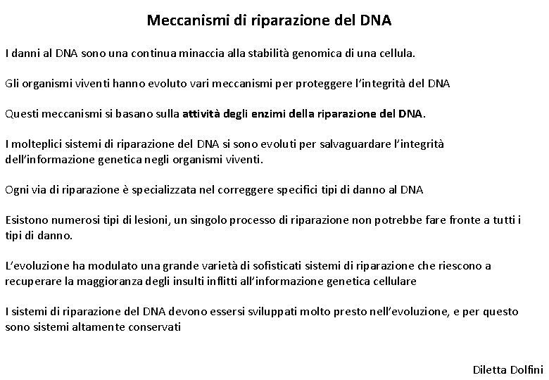 Meccanismi di riparazione del DNA I danni al DNA sono una continua minaccia alla