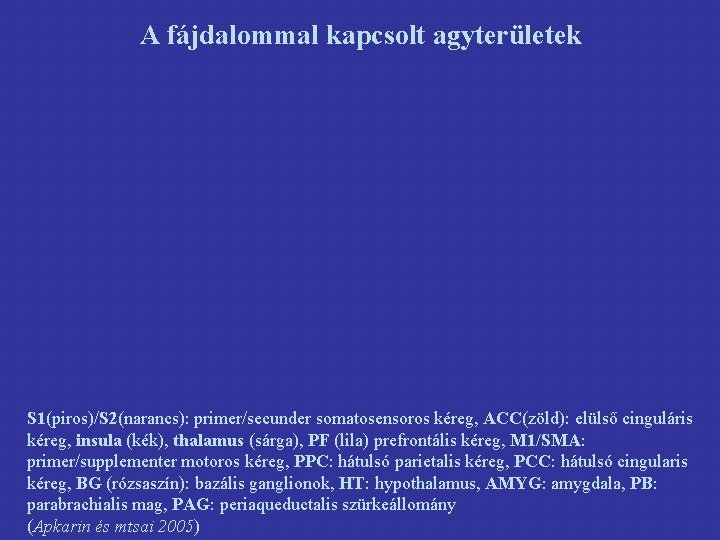 A fájdalommal kapcsolt agyterületek S 1(piros)/S 2(narancs): primer/secunder somatosensoros kéreg, ACC(zöld): elülső cinguláris kéreg,