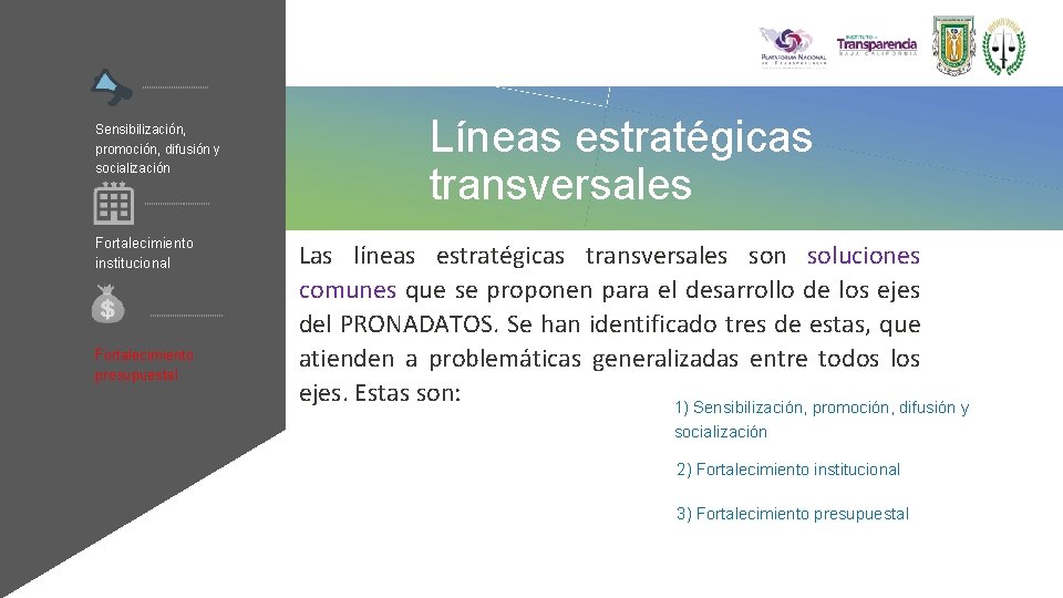 24 Sensibilización, promoción, difusión y socialización Fortalecimiento institucional Fortalecimiento presupuestal Líneas estratégicas transversales Las