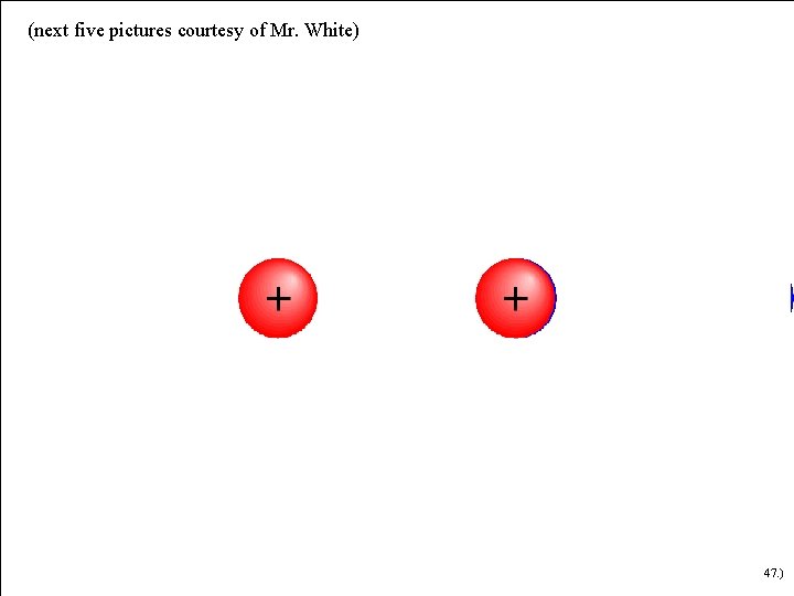 (next five pictures courtesy of Mr. White) 47. ) 