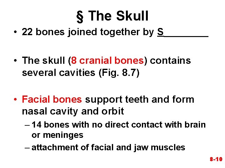 § The Skull • 22 bones joined together by S____ • The skull (8 § The Skull • 22 bones joined together by S____ • The skull (8