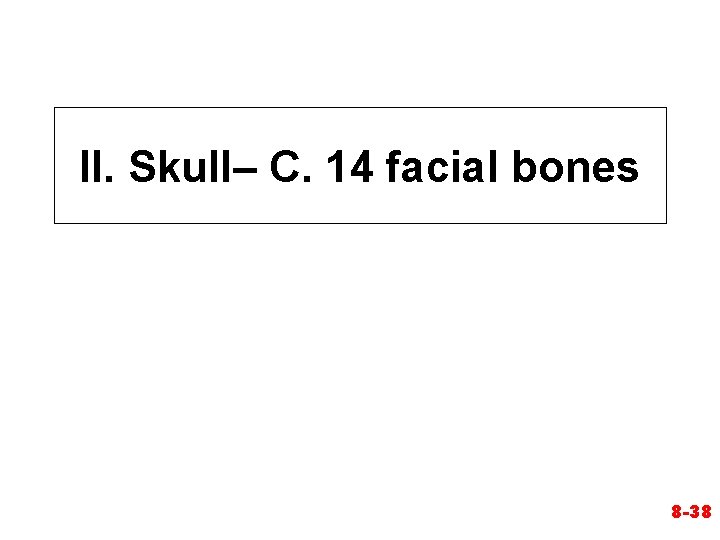 II. Skull– C. 14 facial bones 8 -38 II. Skull– C. 14 facial bones 8 -38