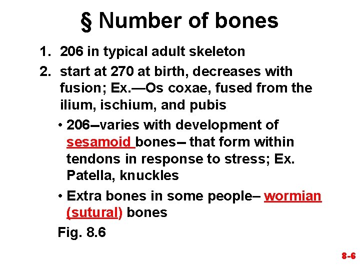 § Number of bones 1. 206 in typical adult skeleton 2. start at 270 § Number of bones 1. 206 in typical adult skeleton 2. start at 270