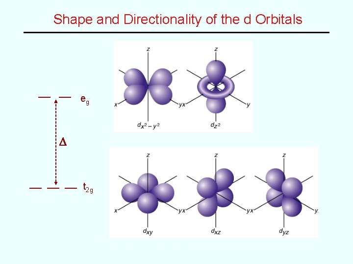 Shape and Directionality of the d Orbitals eg D t 2 g 